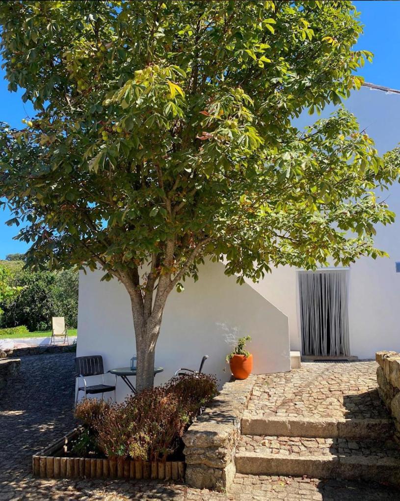 Quinta D'Abegoa Villa Marvão Eksteriør billede