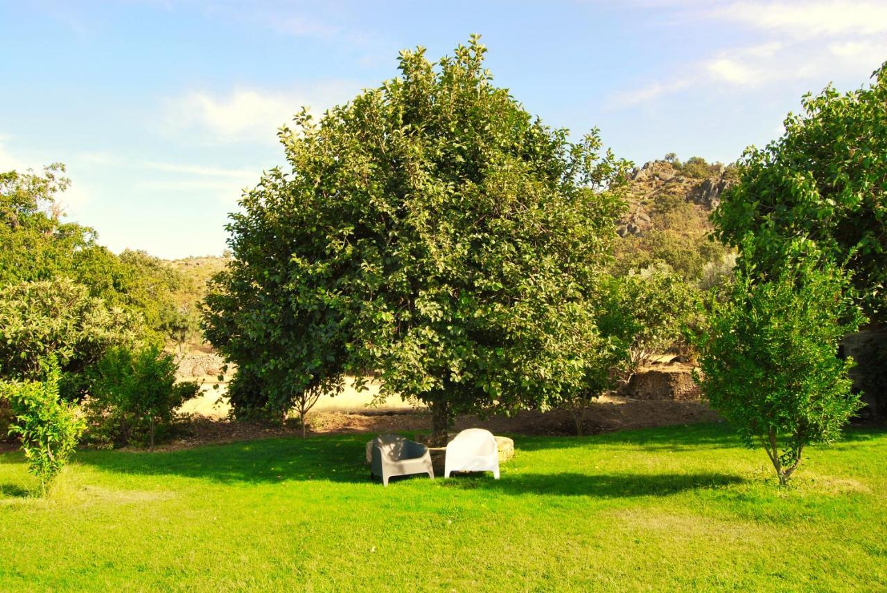Quinta D'Abegoa Villa Marvão Eksteriør billede
